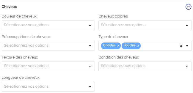 Targeting - Critères cheveux.png