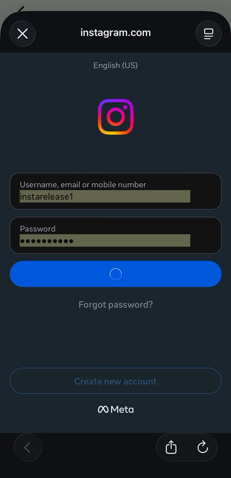 Insta 2.jpg